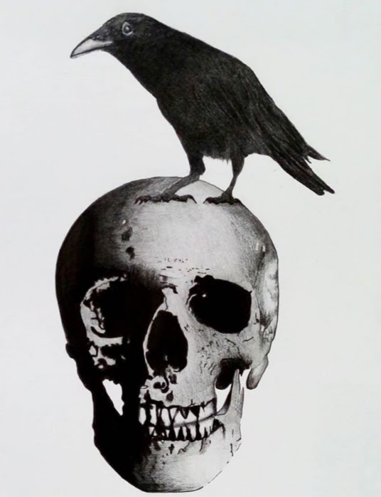 Crow Skull — Daniel Ferraz Ramos