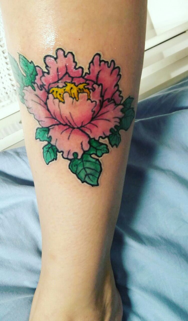 Color Peony — Daniel Ferraz Ramos